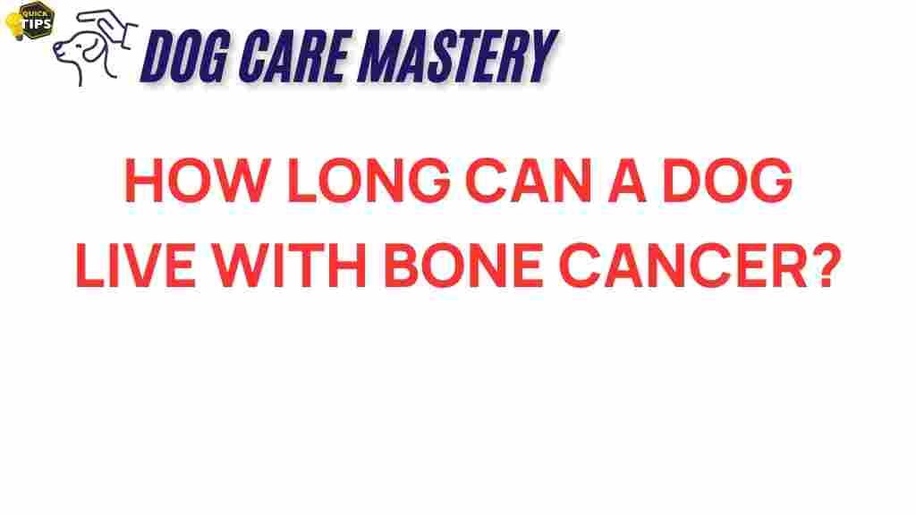 dog-cancer-bone-cancer-lifespan