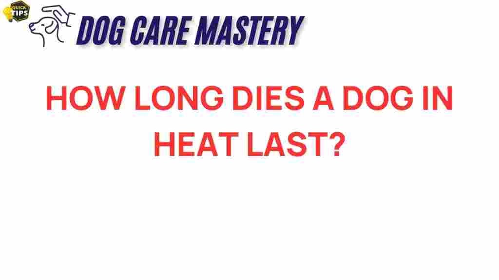 dog-in-heat-duration