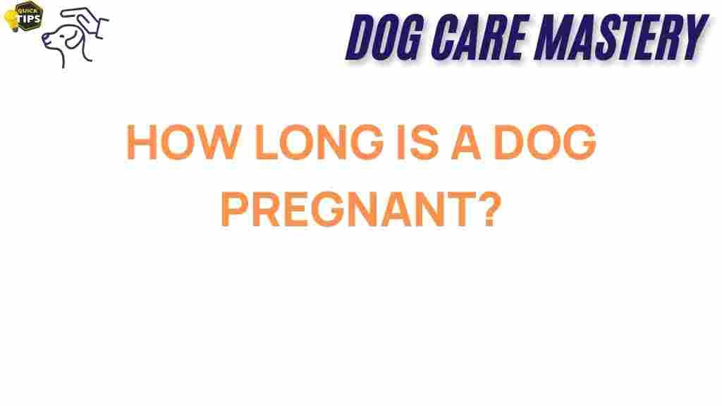 dog-pregnancy-duration