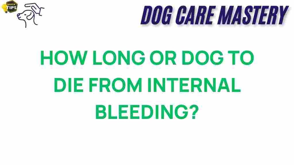 internal-bleeding-dog-survival