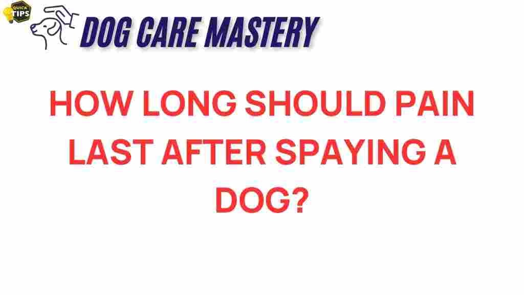 dog-spaying-pain-duration