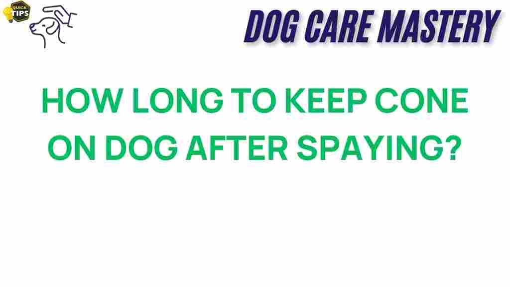 dog-cone-duration