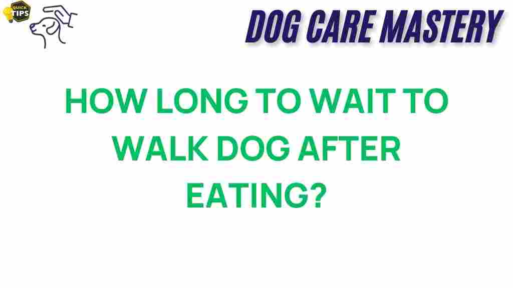 how-long-to-wait-to-walk-dog-after-eating