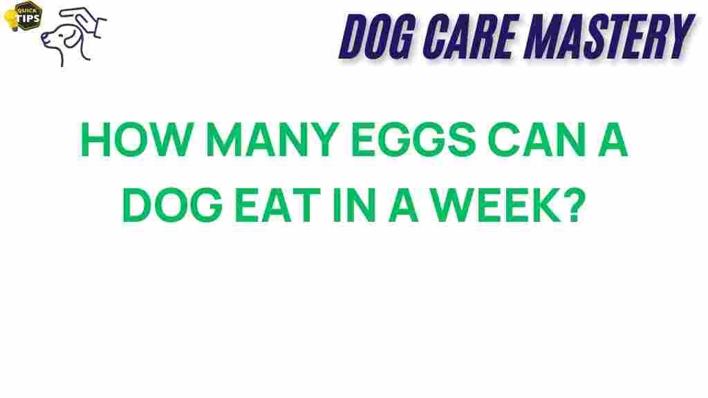 how-many-eggs-dogs-can-eat