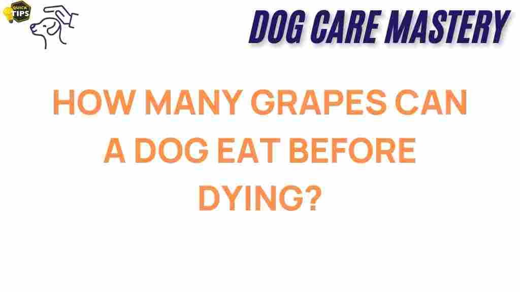 grapes-dog-safety