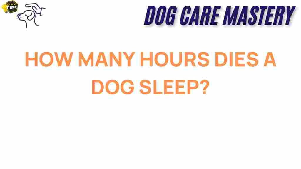dog-sleep-hours