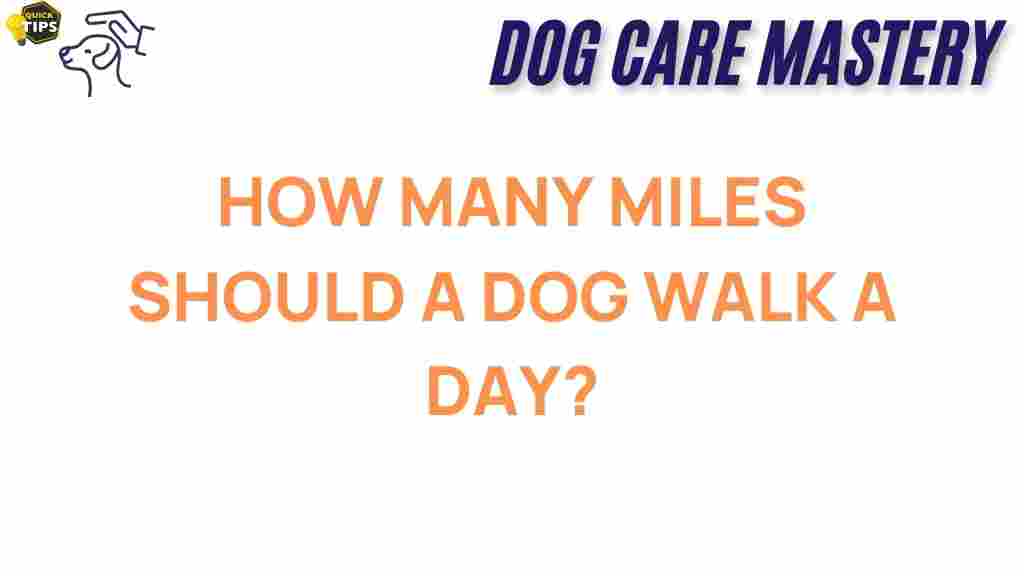 dog-walking-miles-recommendations