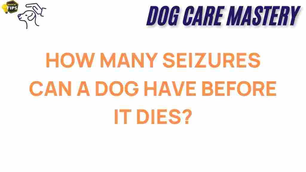 canine-seizures-what-every-dog-owner-should-know