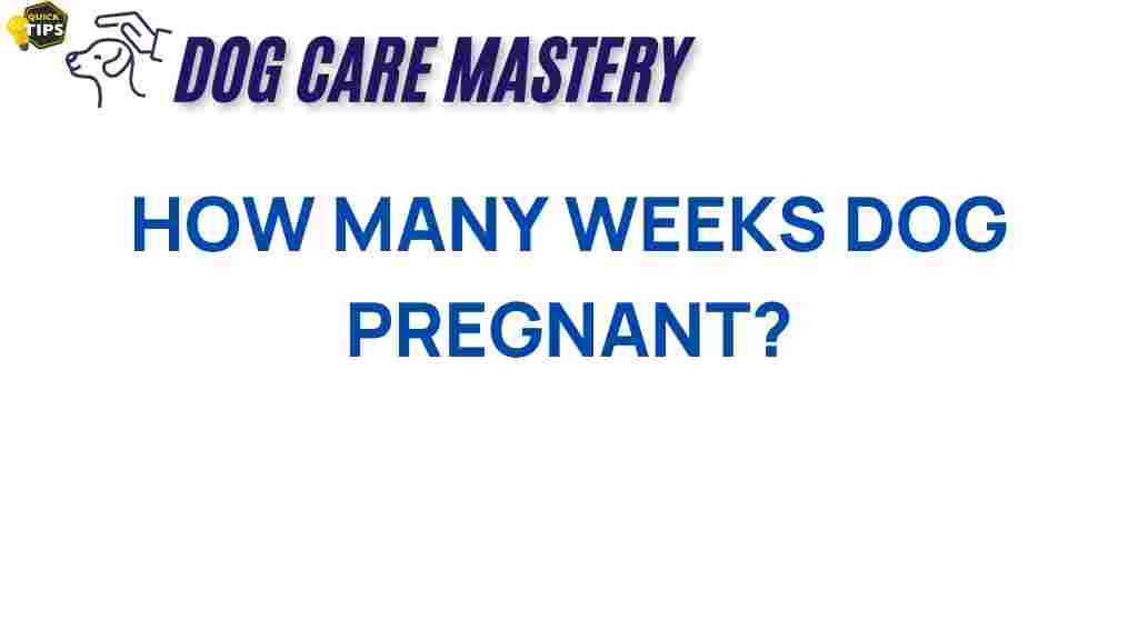 dog-pregnancy-weeks