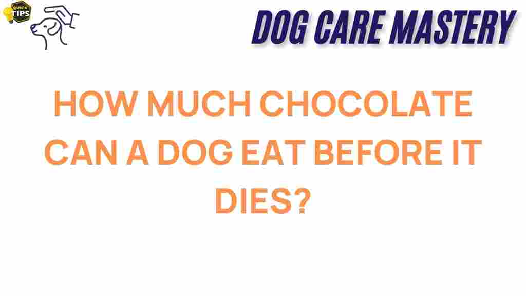 chocolate-toxicity-dog-health