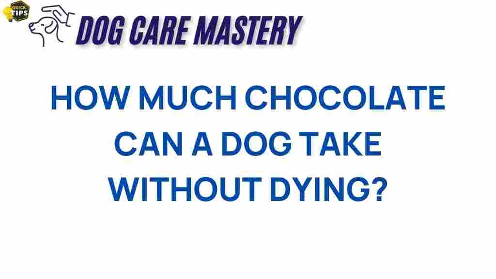 how-much-chocolate-can-a-dog