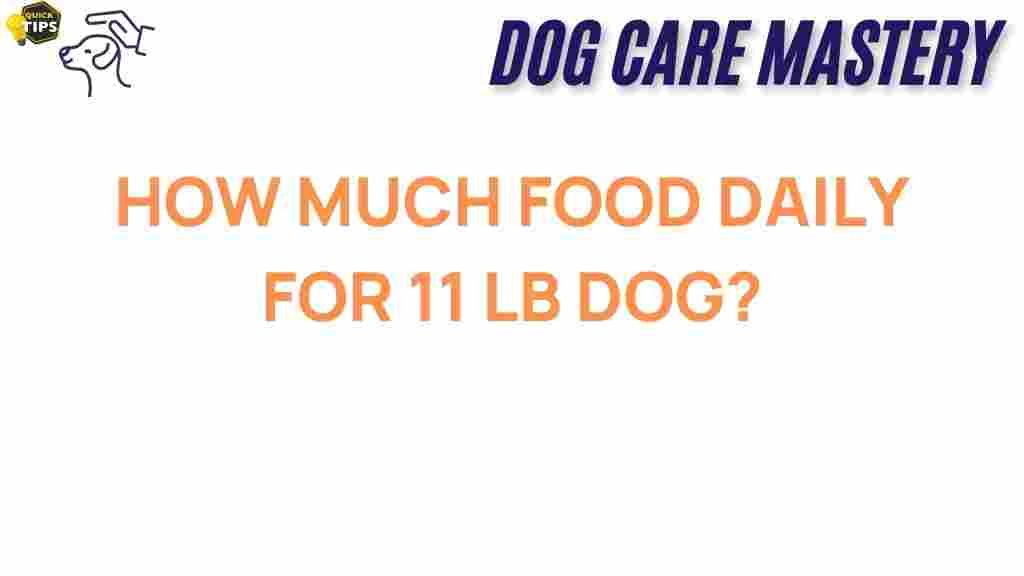 daily-food-intake-11-lb-dog