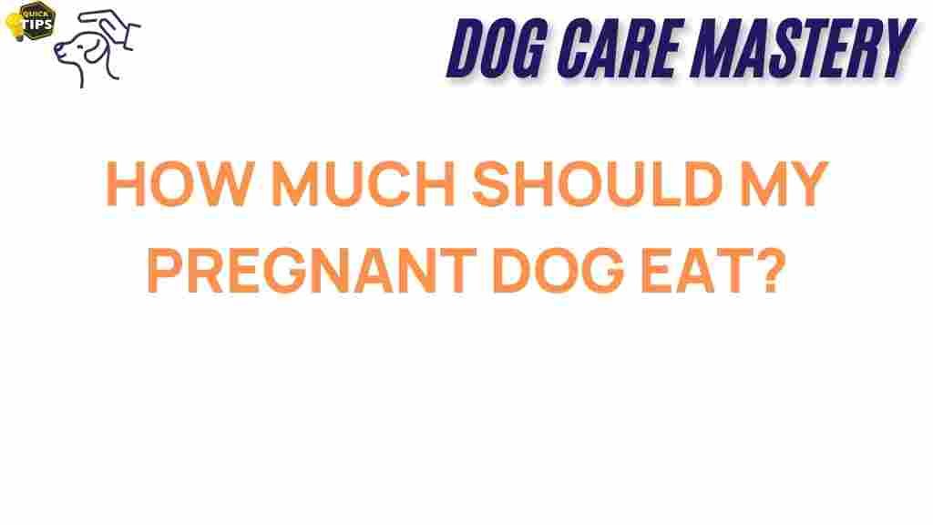 pregnant-dog-how-much-eat