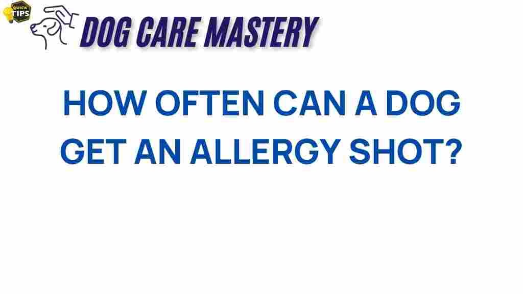 dog-allergy-shots-frequency