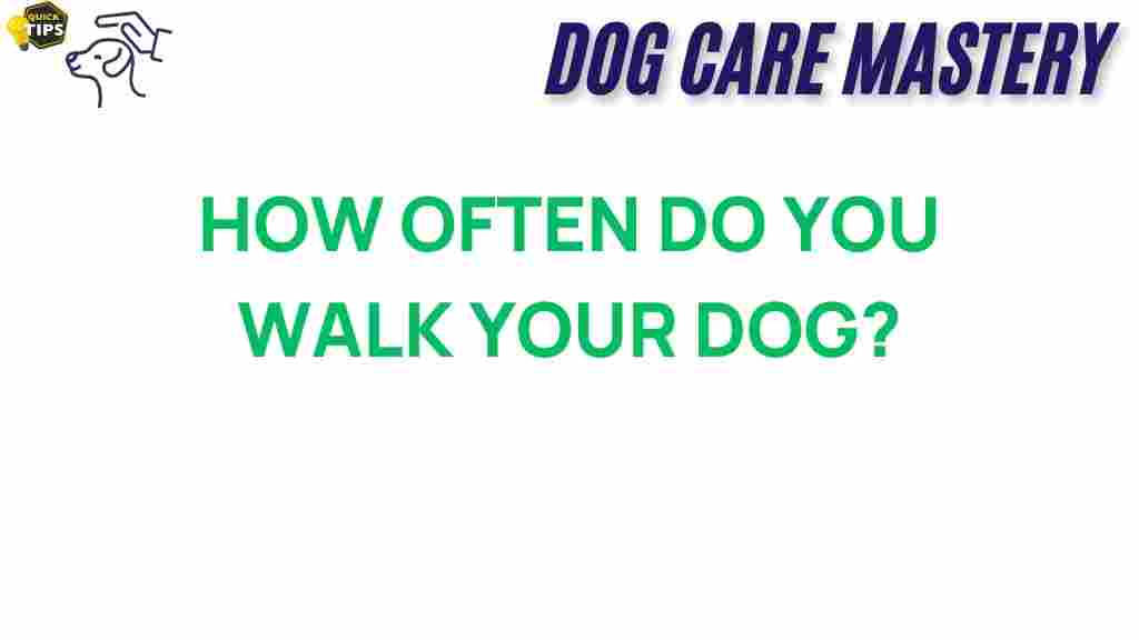 dog-walking-benefits