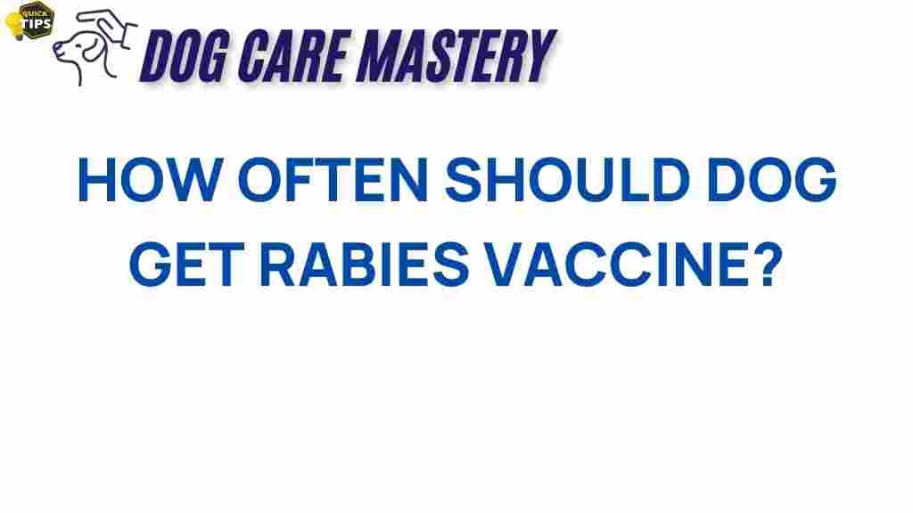 dog-vaccination-rabies-frequency