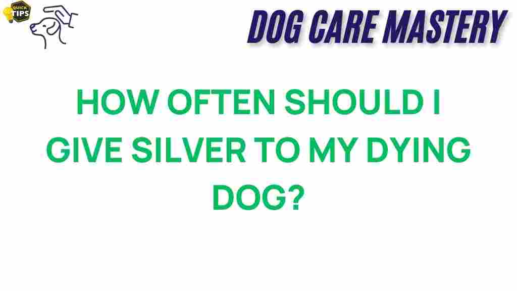 silver-for-dogs-dying