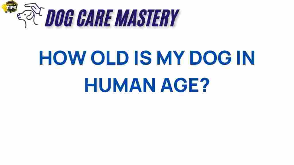 dog-age-calculator