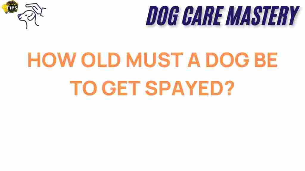 spaying-ideal-age-dog