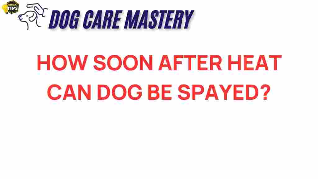 spay-dog-heat-timing