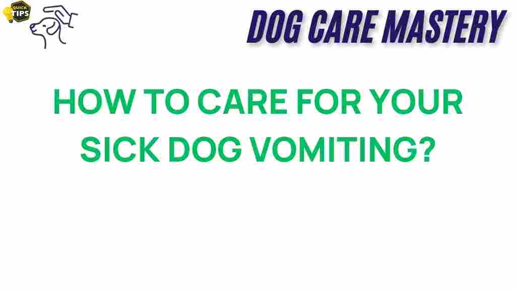 sick-dog-vomiting-care-guide
