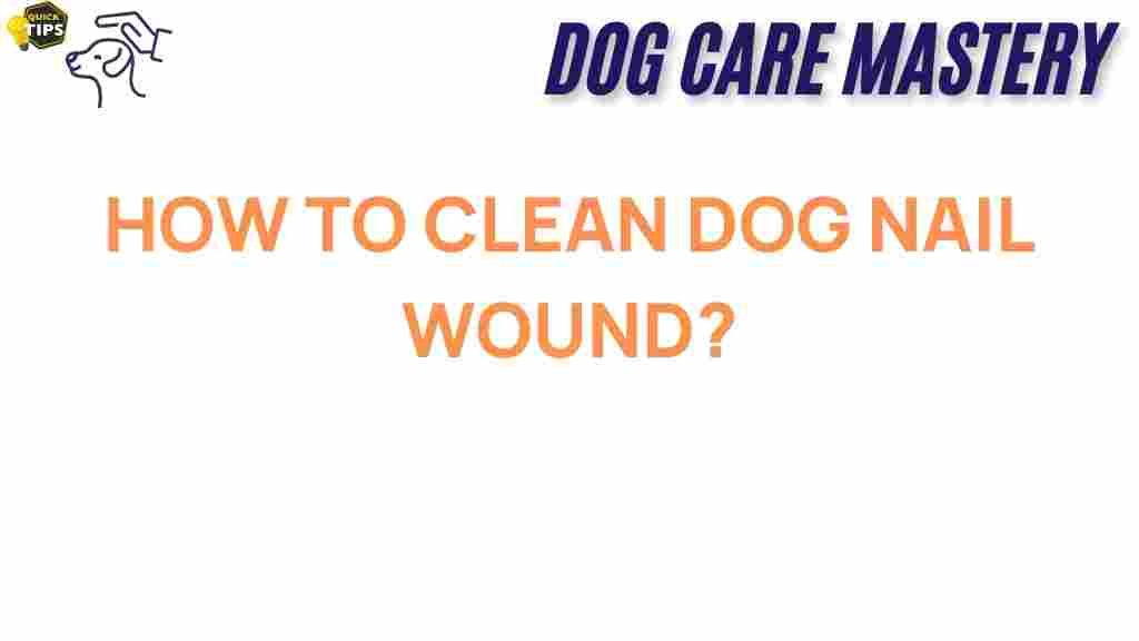 dog-nail-wound-cleaning