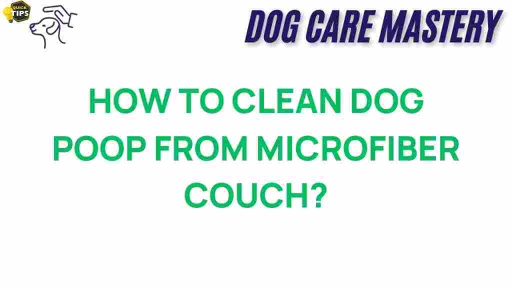 clean-dog-poop-microfiber-couch