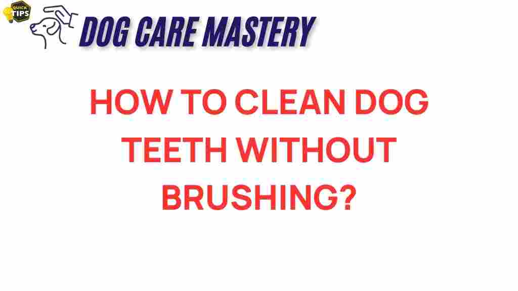 dog-dental-care-without-brushing