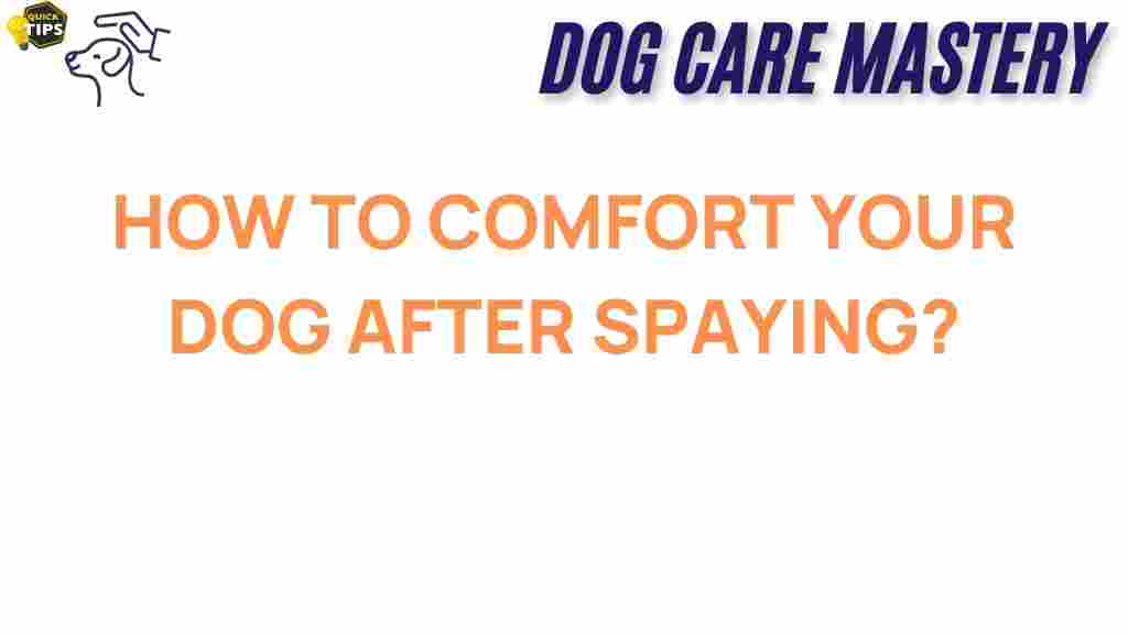 comfort-your-dog-post-spaying