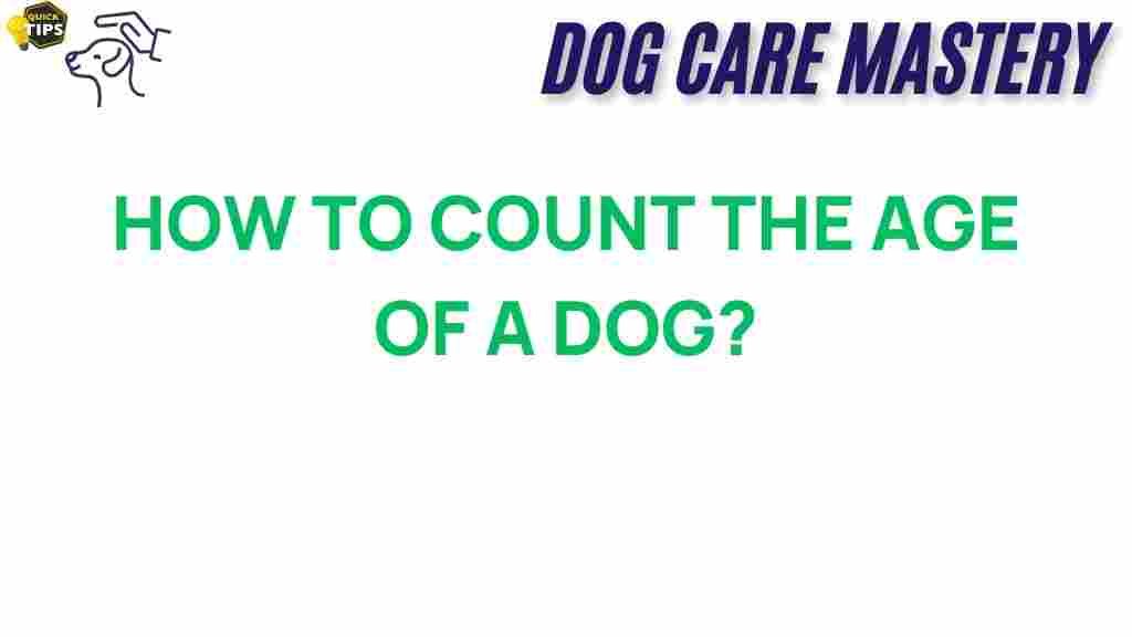 dog-age-counting