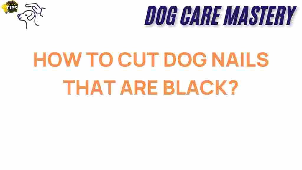 master-dog-nail-trimming-black-dog-nails