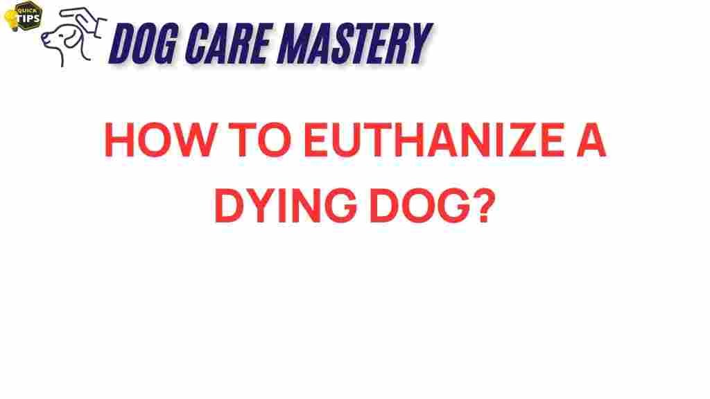 euthanasia-dying-dog