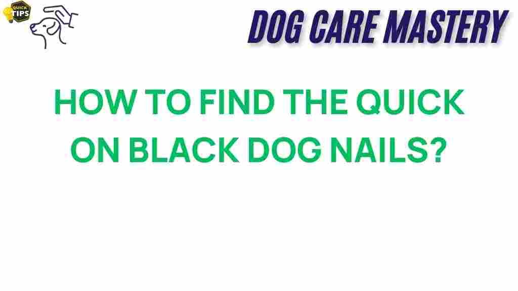 black-dog-nails-quick-guide