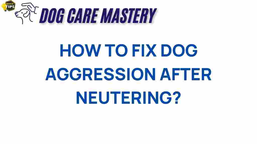 understanding-dog-aggression-neutering