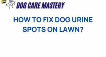 Transform Your Lawn: Effective Solutions for Dog Urine Spots