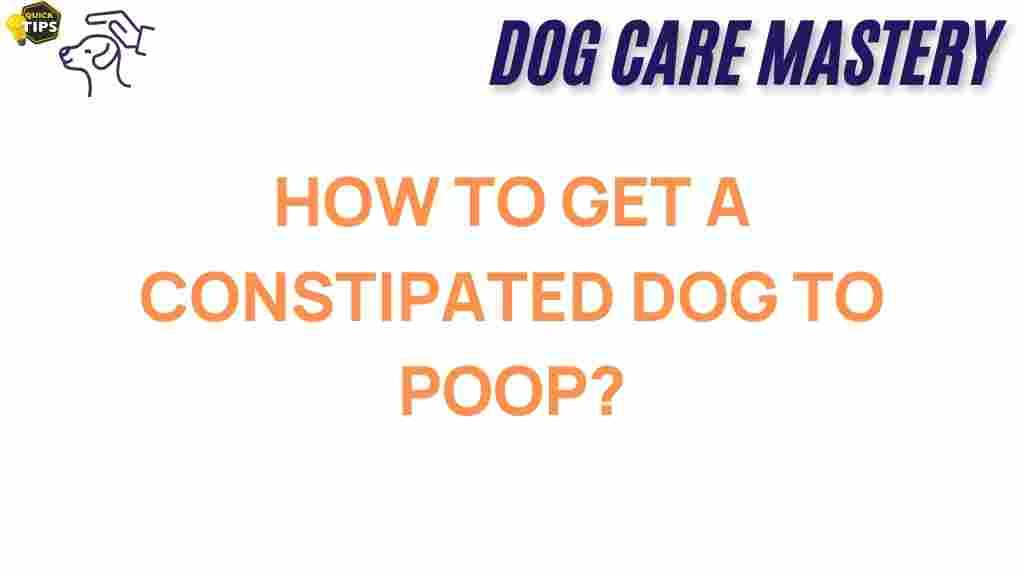 constipated-dog-help