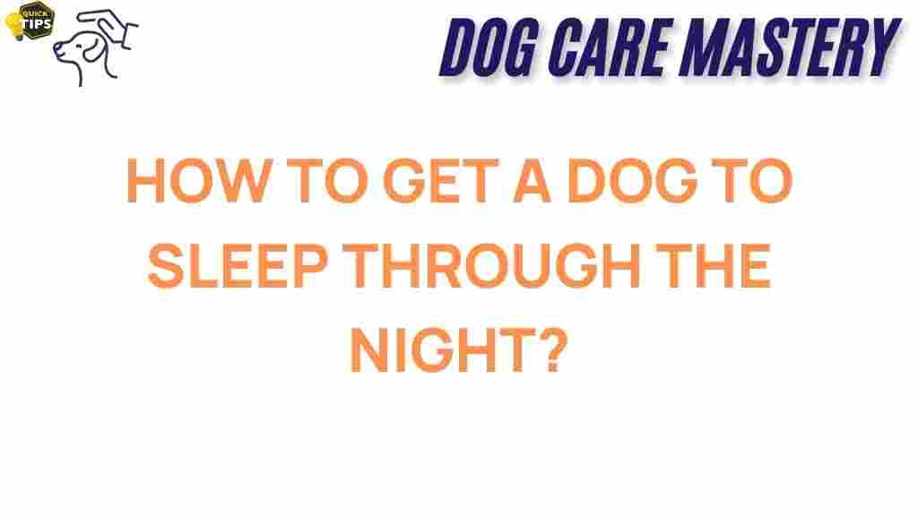 dog-sleep-through-the-night