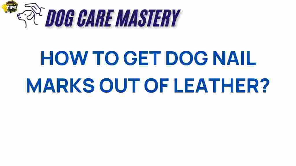 dog-nail-marks-leather-removal