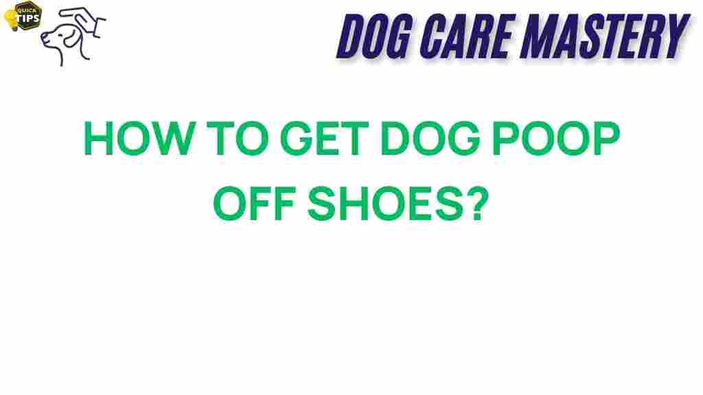 dog-poop-off-shoes