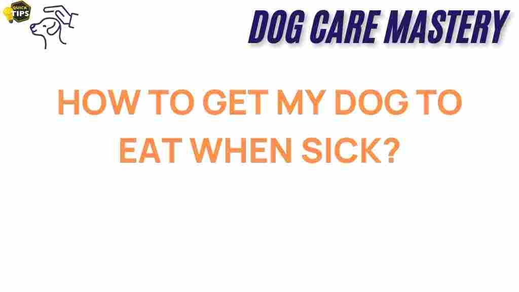 how-to-get-my-dog-to-eat-when-sick