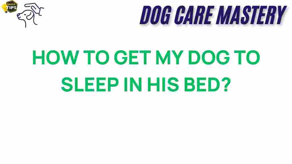 dog-sleep-tips