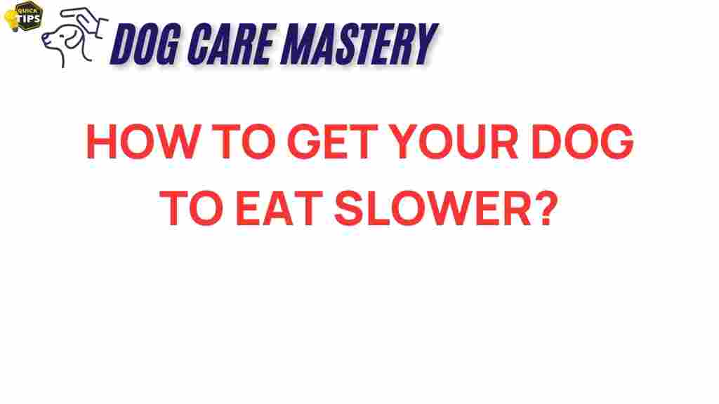 get-your-dog-to-eat-slower