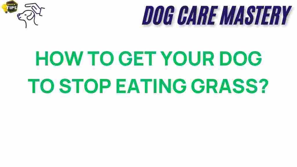 dog-behavior-eat-grass