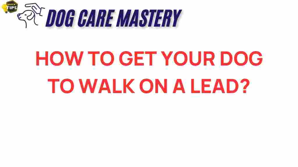 dog-walking-lead-training-guide