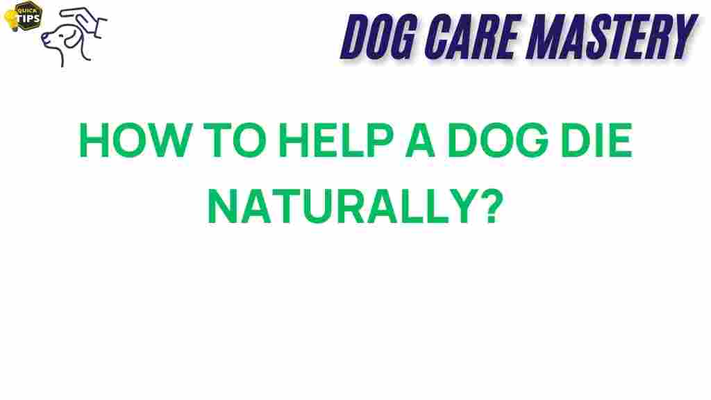 help-a-dog-die-naturally