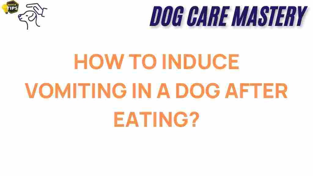 dog-vomiting-guide