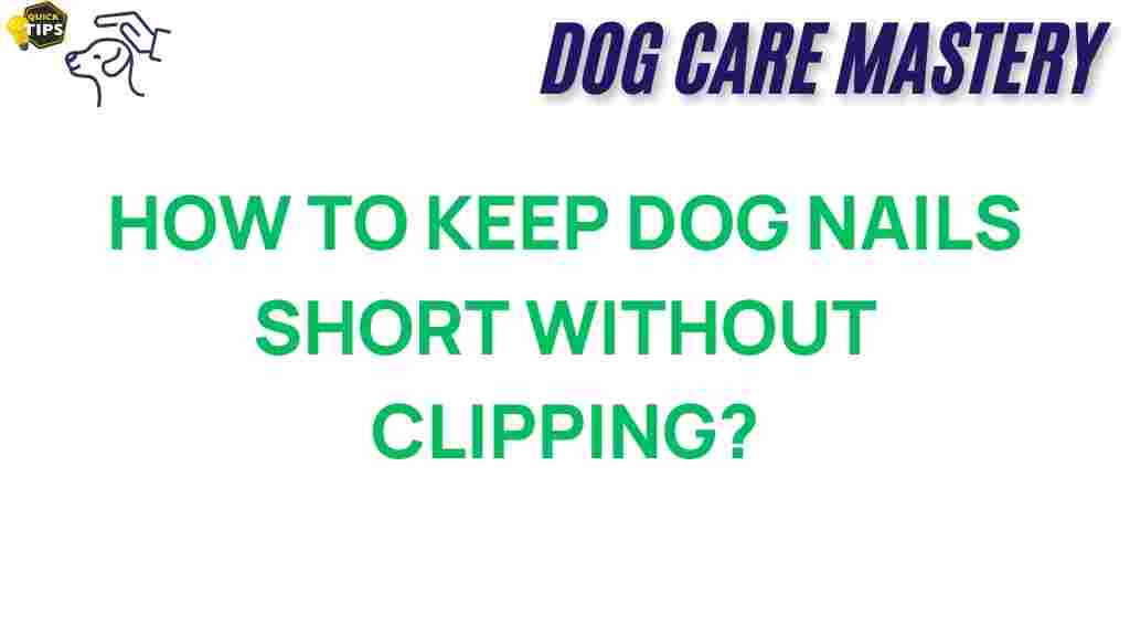 dog-nail-care-alternative-methods