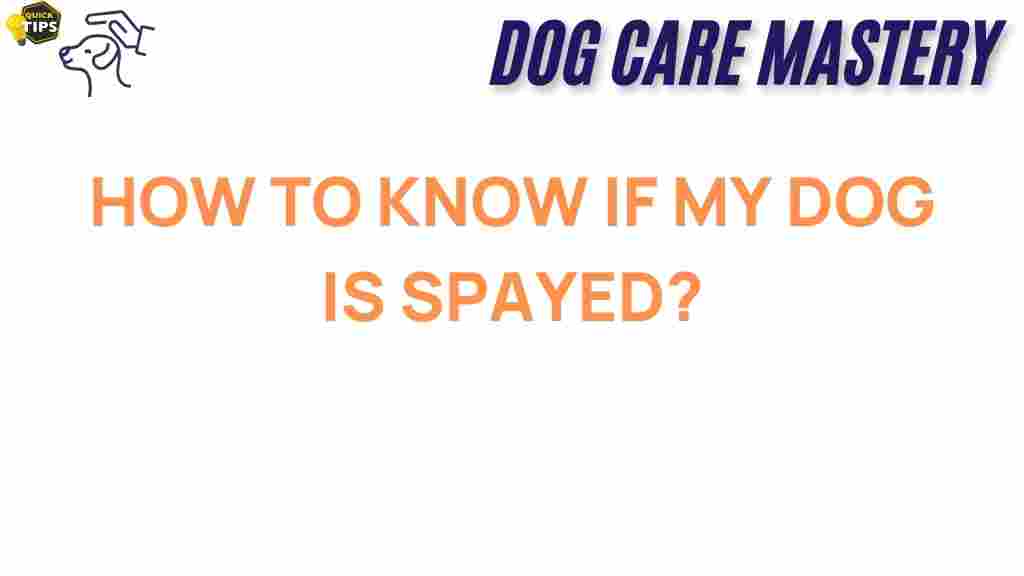 know-if-my-dog-is-spayed