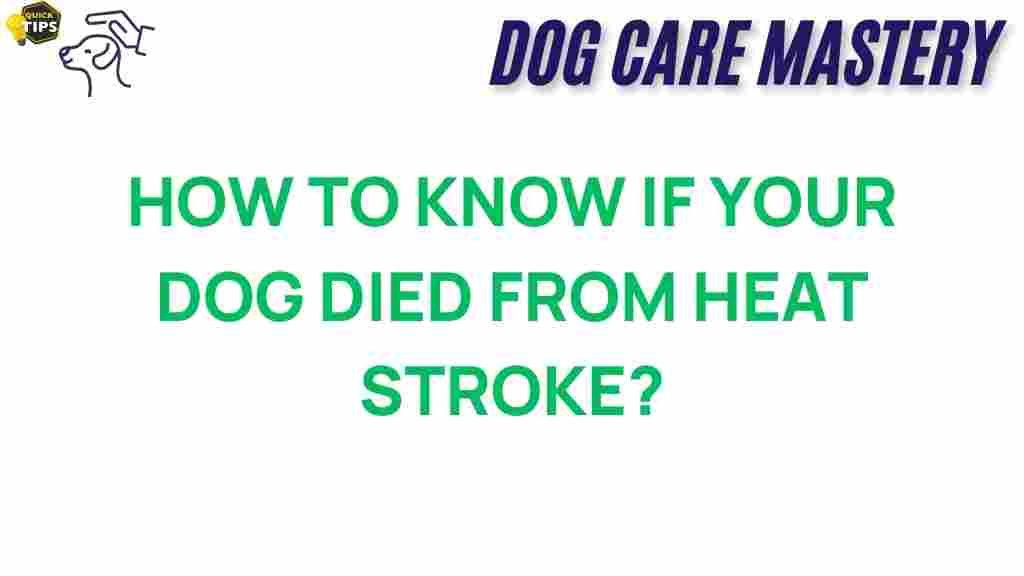 heat-stroke-dog-death-signs