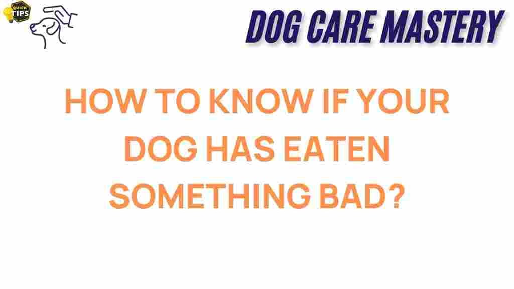 dog-health-eaten-something-bad